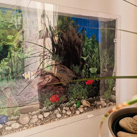 Sulmar - Armação De Pera - By Bedzy *